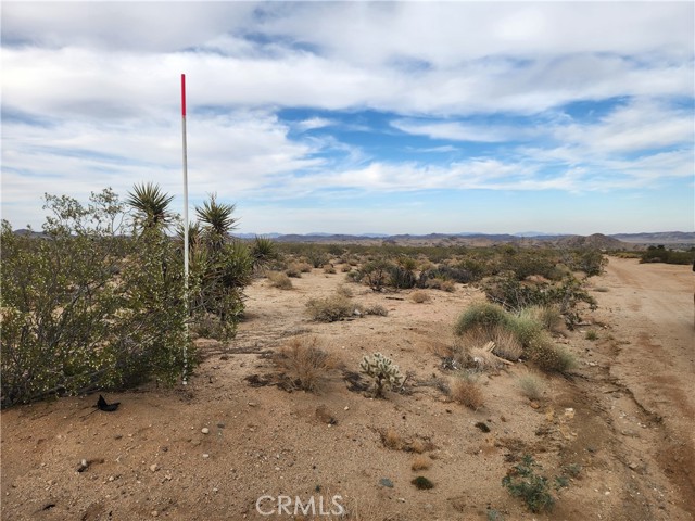 Detail Gallery Image 7 of 23 For 4147 Sunburst St, Joshua Tree,  CA 92252 - – Beds | – Baths