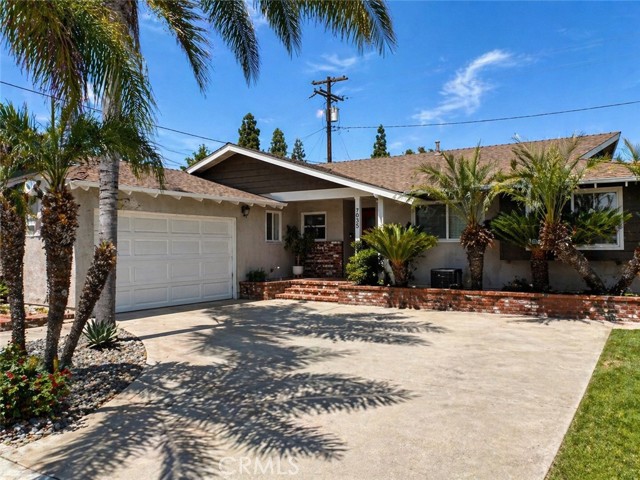 Front Image Thumbnail for CROC26085782