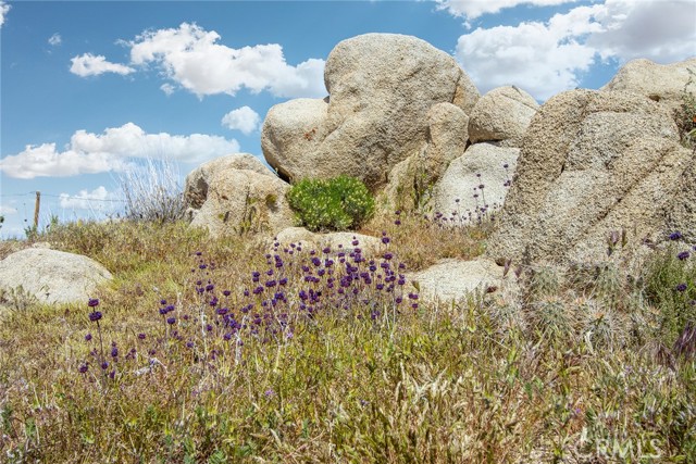 Detail Gallery Image 12 of 44 For 5550 Carlsbad Ave, Yucca Valley,  CA 92284 - 2 Beds | 2 Baths