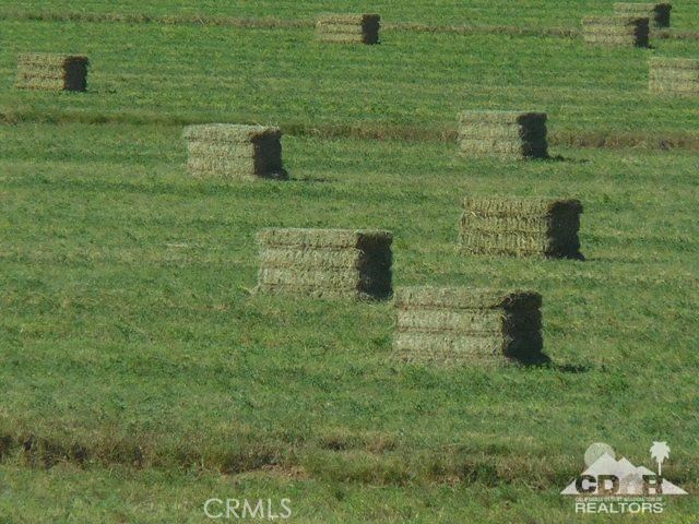 MLS #216029032DA image #7