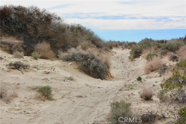 Detail Gallery Image 19 of 20 For 204 Adobe Rd, Twentynine Palms,  CA 92277 - – Beds | – Baths
