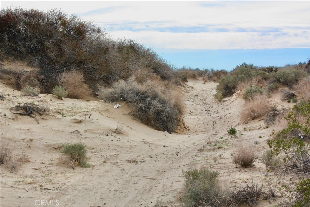 MLS #JT25270168 image #18