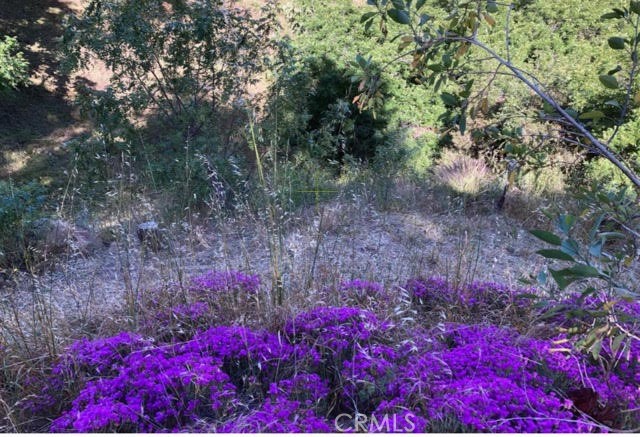 Detail Gallery Image 12 of 12 For 653 Beech St, Los Angeles,  CA 90065 - – Beds | – Baths