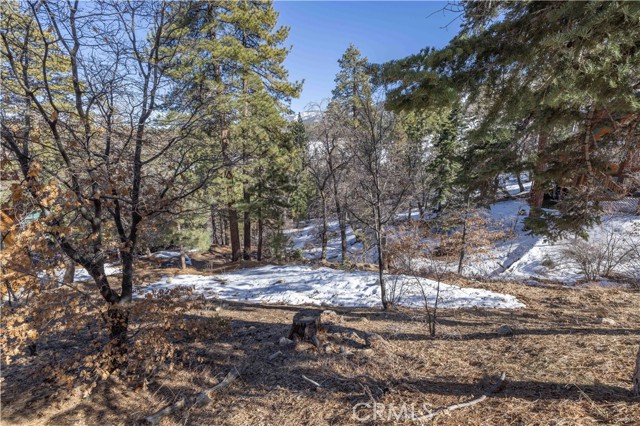 Detail Gallery Image 5 of 19 For 0 Pigeon Rd, Big Bear Lake,  CA 92315 - – Beds | – Baths