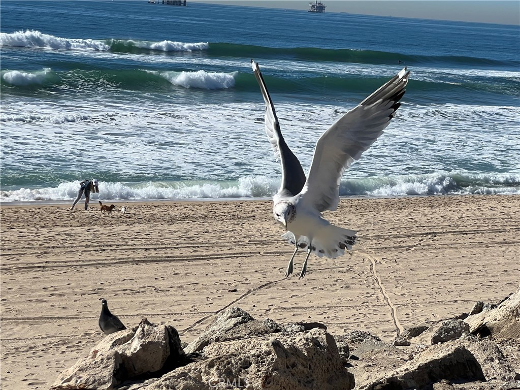 https://media.crmls.org/medias/b1820bde-2db3-4488-a553-63ae5a6e7399.jpg?preset=X-Large
