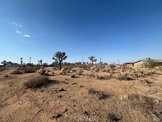 MLS #JT25181795 image #5