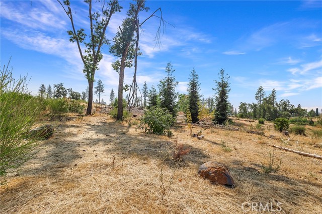 1840 Mosure Lane, Paradise, California 95969, ,Land,For Sale,1840 Mosure Lane,CRSN23176805