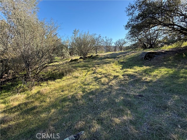 Detail Gallery Image 3 of 25 For 0 Long Hollow Lot 1631, Coarsegold,  CA 93614 - – Beds | – Baths