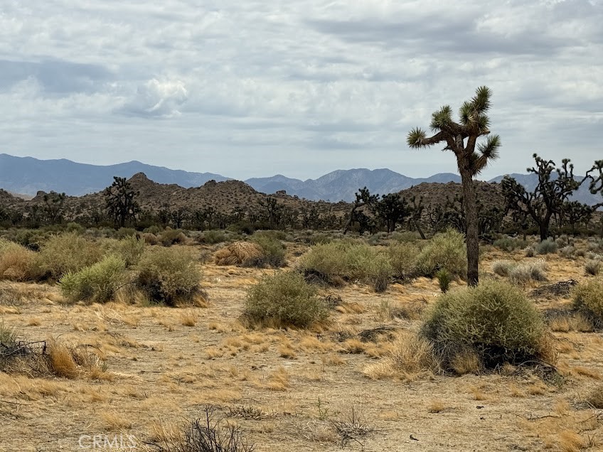 MLS #SR26165095 image #58