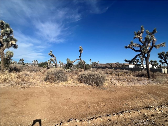 Detail Gallery Image 4 of 5 For 111 Wallaby, Yucca Valley,  CA 92284 - – Beds | – Baths