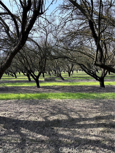 Detail Gallery Image 29 of 29 For 0 August, Delhi,  CA 95315 - – Beds | – Baths