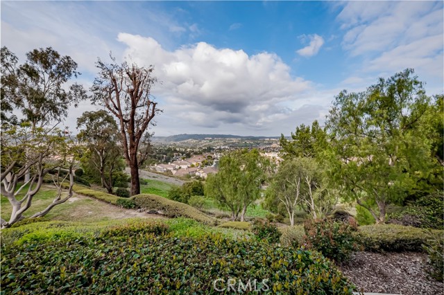 Image 3 for 25146 Via Catalina, Laguna Niguel, CA 92677