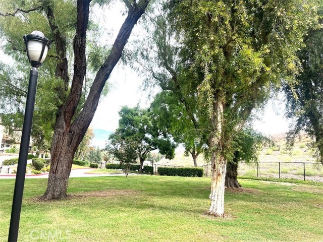22 Mesquite photo 34
