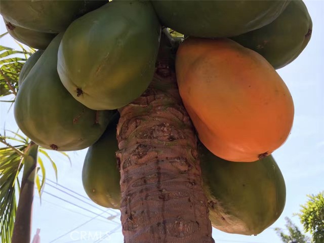 Detail Gallery Image 17 of 39 For Address Is Not Disclosed, Gardena,  CA 90249 - 5 Beds | 4 Baths