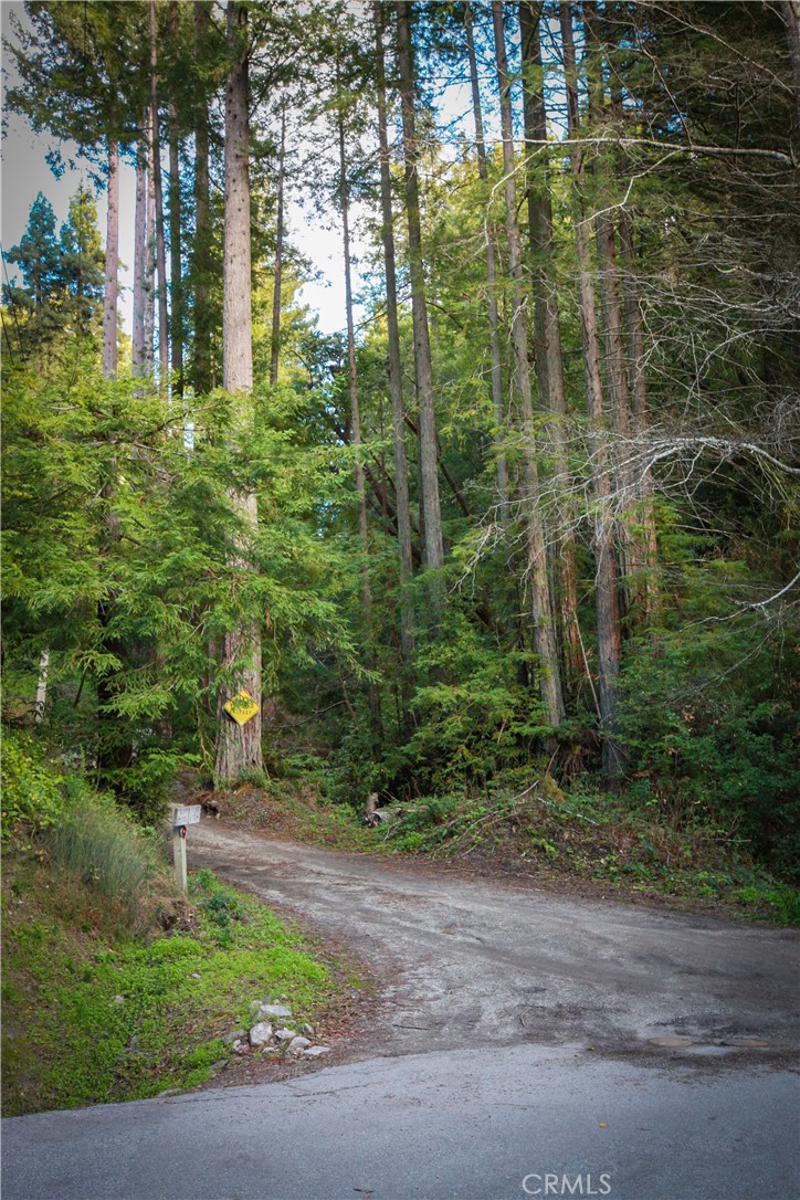 MLS #OC25221127 image #9