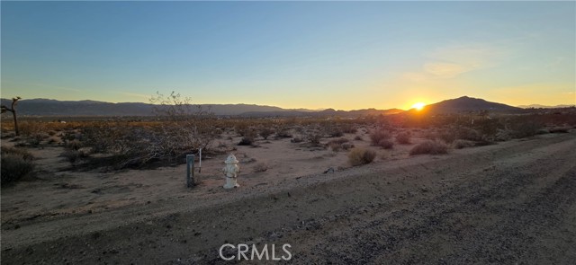 Detail Gallery Image 3 of 8 For 1 Belmont St, Joshua Tree,  CA 92252 - – Beds | – Baths