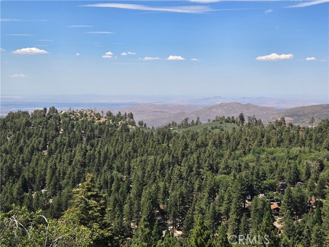 Detail Gallery Image 8 of 38 For 599 Baldy View Dr, Green Valley Lake,  CA 92341 - 2 Beds | 2 Baths