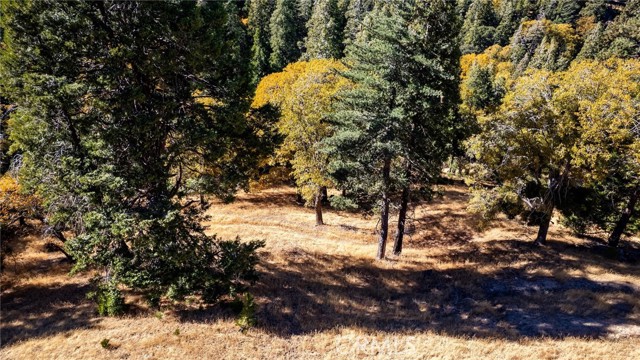 Detail Gallery Image 12 of 40 For 0 Mojave River Rd, Cedarpines Park,  CA 92322 - – Beds | – Baths