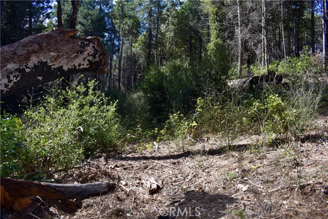 Detail Gallery Image 40 of 52 For 0 Toyon Trl, Berry Creek,  CA 95916 - – Beds | – Baths