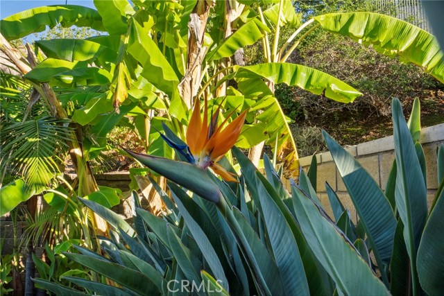 Detail Gallery Image 49 of 67 For 890 Lindamere, Simi Valley,  CA 93065 - 5 Beds | 4/1 Baths