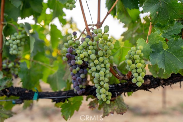 Detail Gallery Image 42 of 49 For 2143 Buena Vista Ave, Gilroy,  CA 95020 - 0 Beds | 1 Baths