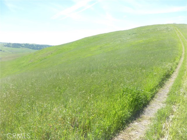 Detail Gallery Image 23 of 44 For 0 Douglas Rd. (Lot 34), San Miguel,  CA 93451 - – Beds | – Baths