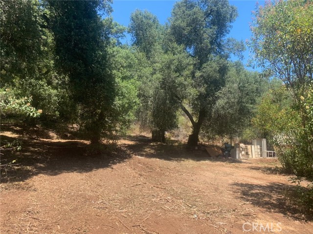 0 Avenida Perla Bonita, Murrieta CA: https://media.crmls.org/medias/b1b2d022-f036-41f6-9a96-34bdaf843efa.jpg