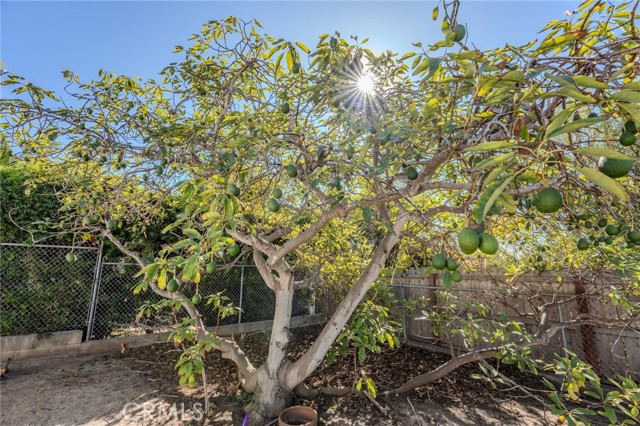 Detail Gallery Image 45 of 63 For 219 W Esplanade, San Clemente,  CA 92672 - 2 Beds | 2 Baths