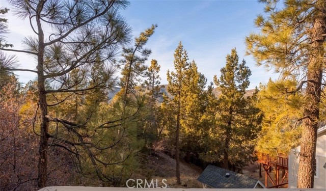 Detail Gallery Image 28 of 31 For 439 Tanglewood Dr, Big Bear City,  CA 92314 - 3 Beds | 2 Baths