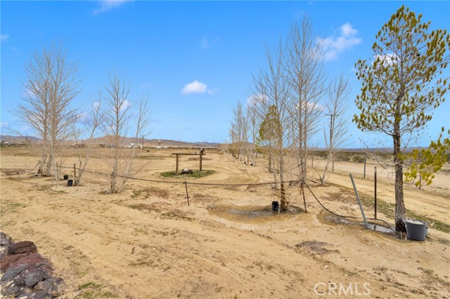 Detail Gallery Image 47 of 69 For 47424 Paddington, Landers,  CA 92285 - 2 Beds | 2 Baths