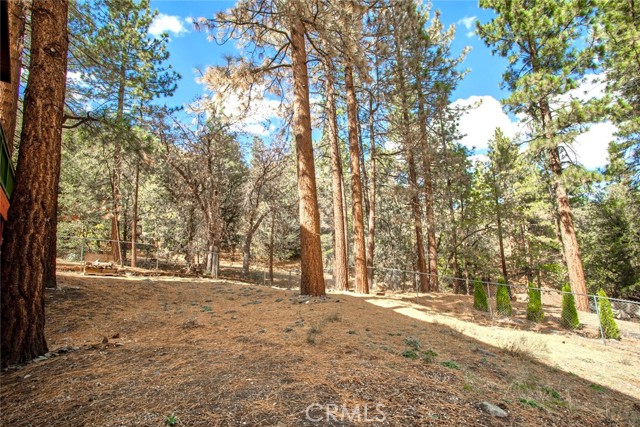 Detail Gallery Image 40 of 49 For 23109 Cardinal Rd, Wrightwood,  CA 93563 - 5 Beds | 4 Baths