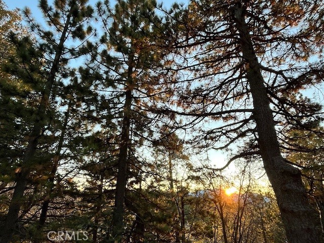 Detail Gallery Image 35 of 40 For 1215 Scenic Way, Rimforest,  CA 92378 - 3 Beds | 2/1 Baths