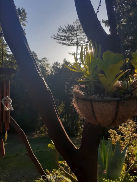 Detail Gallery Image 32 of 58 For 38160 Ocean Ridge Dr, Gualala,  CA 95445 - – Beds | – Baths