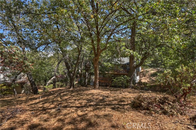 1348 Manzanita Way, Lake Arrowhead CA: https://media.crmls.org/medias/b1cf066f-4fe5-492b-8397-9905763ecea7.jpg