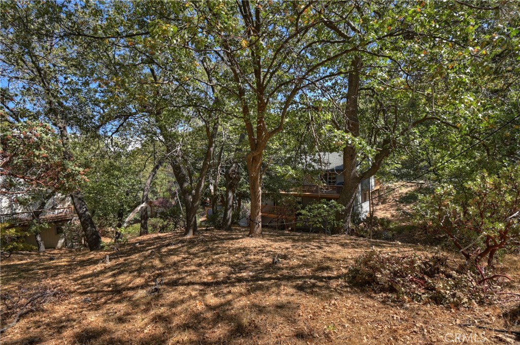 MLS #IG25150298 image #62