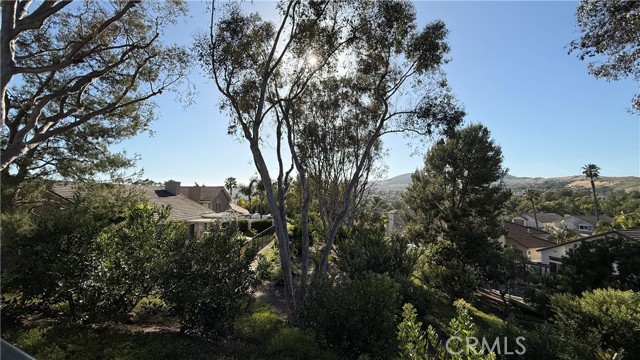 Detail Gallery Image 48 of 50 For 2102 via Helecho, San Clemente,  CA 92673 - 5 Beds | 3 Baths