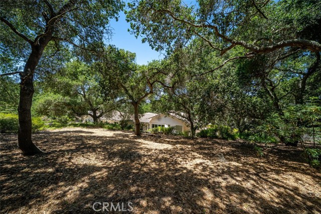 615 Sweet Donna Place, Nipomo CA: https://media.crmls.org/medias/b1d754ea-8005-4a1d-aee8-46c1babd3f0d.jpg