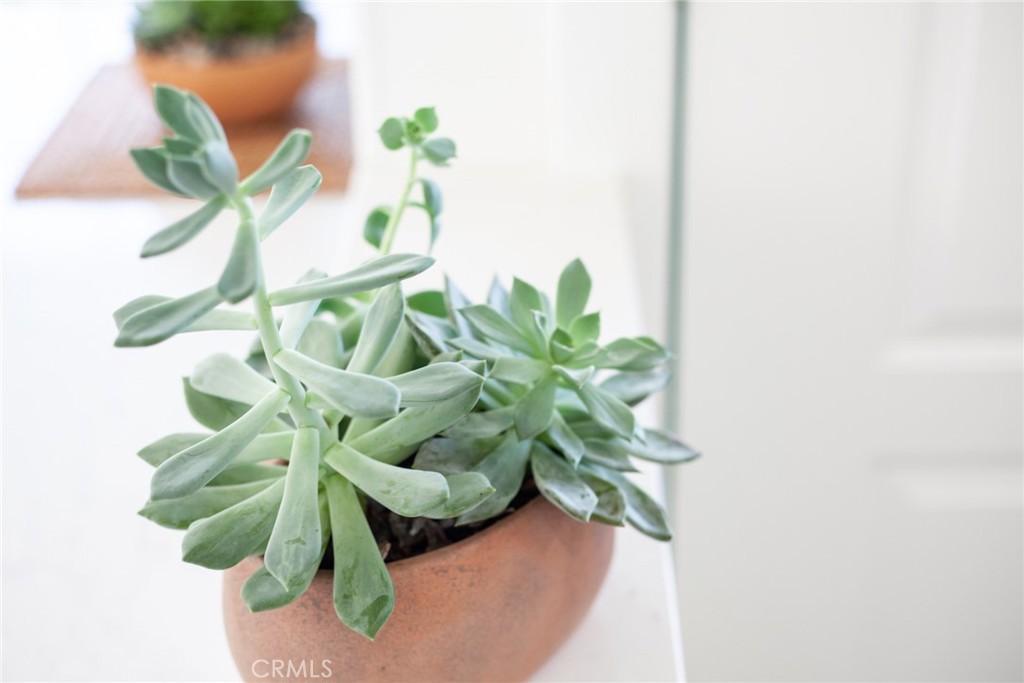 https://media.crmls.org/medias/b1d8b1d1-1b4f-4b42-9bc6-963a6e244f66.jpg?preset=X-Large