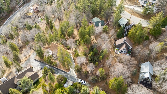 Detail Gallery Image 54 of 63 For 28227 Arbon Ln, Lake Arrowhead,  CA 92352 - 3 Beds | 3/1 Baths