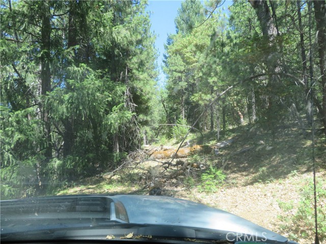 Detail Gallery Image 15 of 31 For 0 Barns Ranch Rd, Covelo,  CA 95428 - – Beds | – Baths