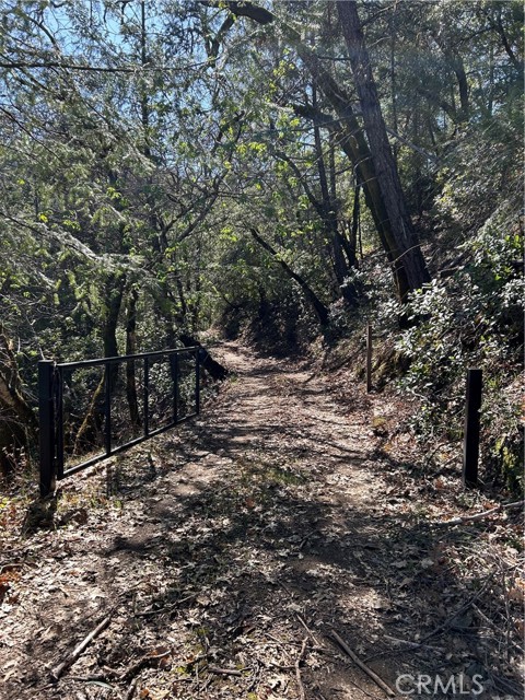 Detail Gallery Image 12 of 30 For 14903 Western Mine Rd, Middletown,  CA 95461 - – Beds | – Baths