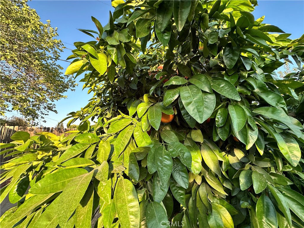 https://media.crmls.org/medias/b1e5d88a-a056-4a77-a45a-1e3034ddd862.jpg?preset=X-Large