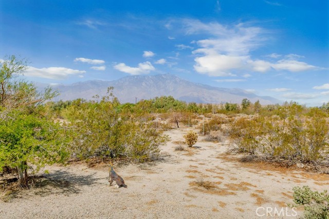 20980 Artesia Road, Desert Hot Springs CA: https://media.crmls.org/medias/b1e6b70e-6d93-422b-979b-0aa283d56686.jpg