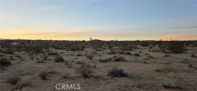 Detail Gallery Image 4 of 6 For 0 Campanula St, Joshua Tree,  CA 92252 - – Beds | – Baths