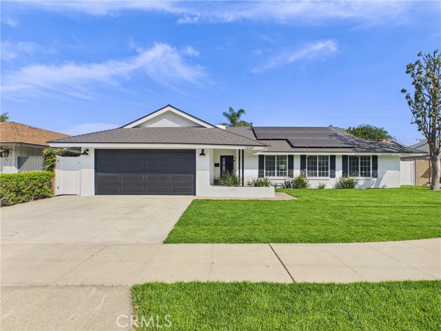 Front Image Thumbnail for CROC26058397