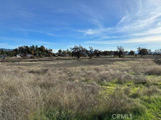 Detail Gallery Image 11 of 16 For 6965 Hammond Ave, Upper Lake,  CA 95485 - – Beds | – Baths