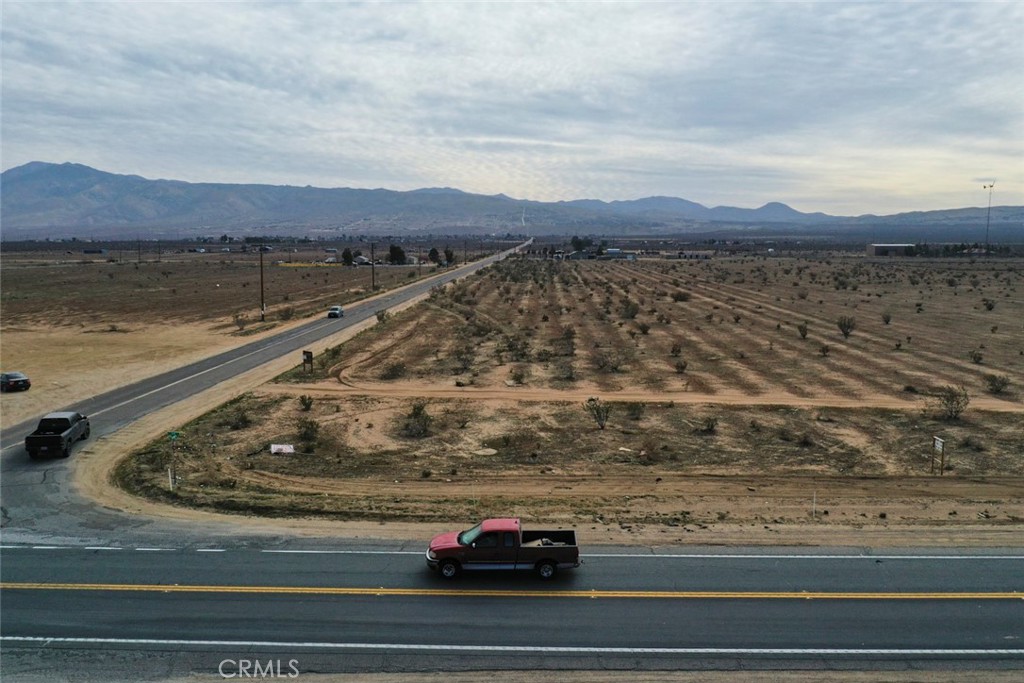 MLS #CV25202821 image #5