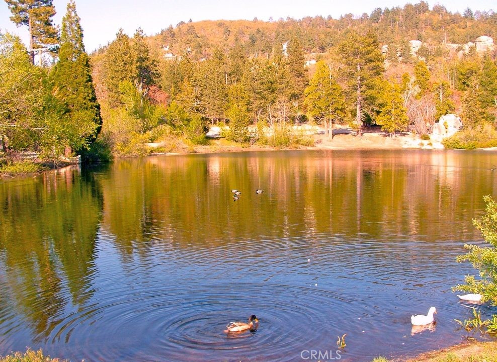 https://media.crmls.org/medias/b1ef80ea-9bdf-4c64-88fb-5f08e7ca109e.jpg?preset=X-Large