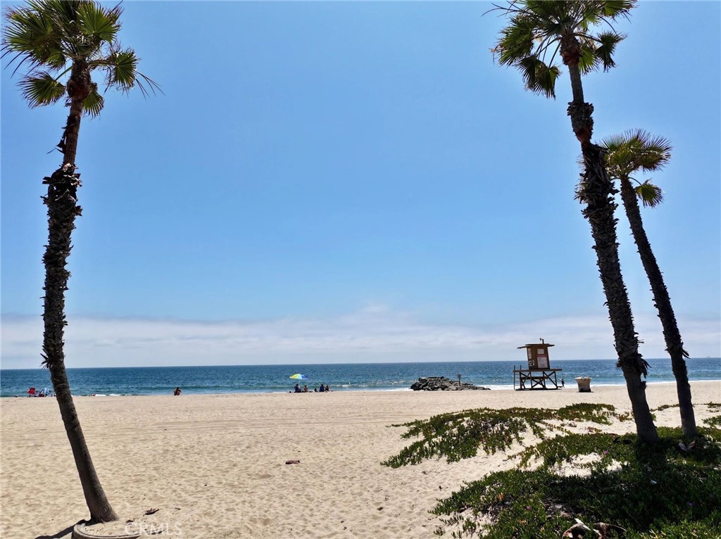 MLS #NP26099391 image #9