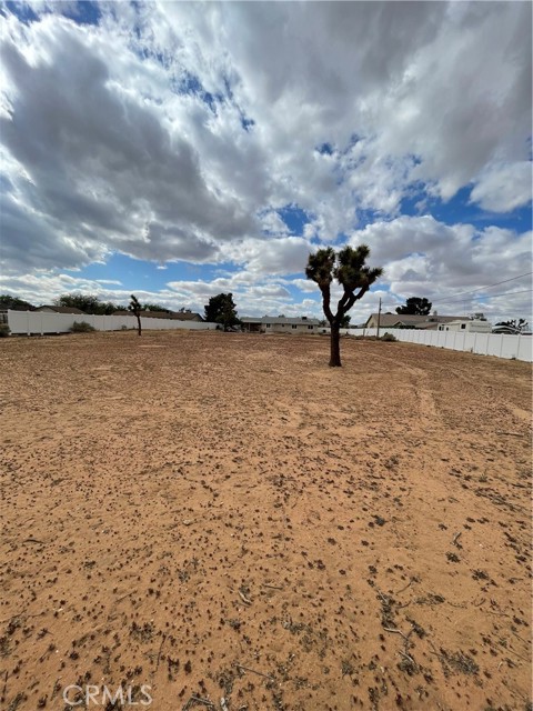 14317 Jicarilla Road, Apple Valley CA: https://media.crmls.org/medias/b1f6a4c1-9c4b-44a4-8c1b-e72ed4677faf.jpg